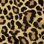 zapato ante color leopardo